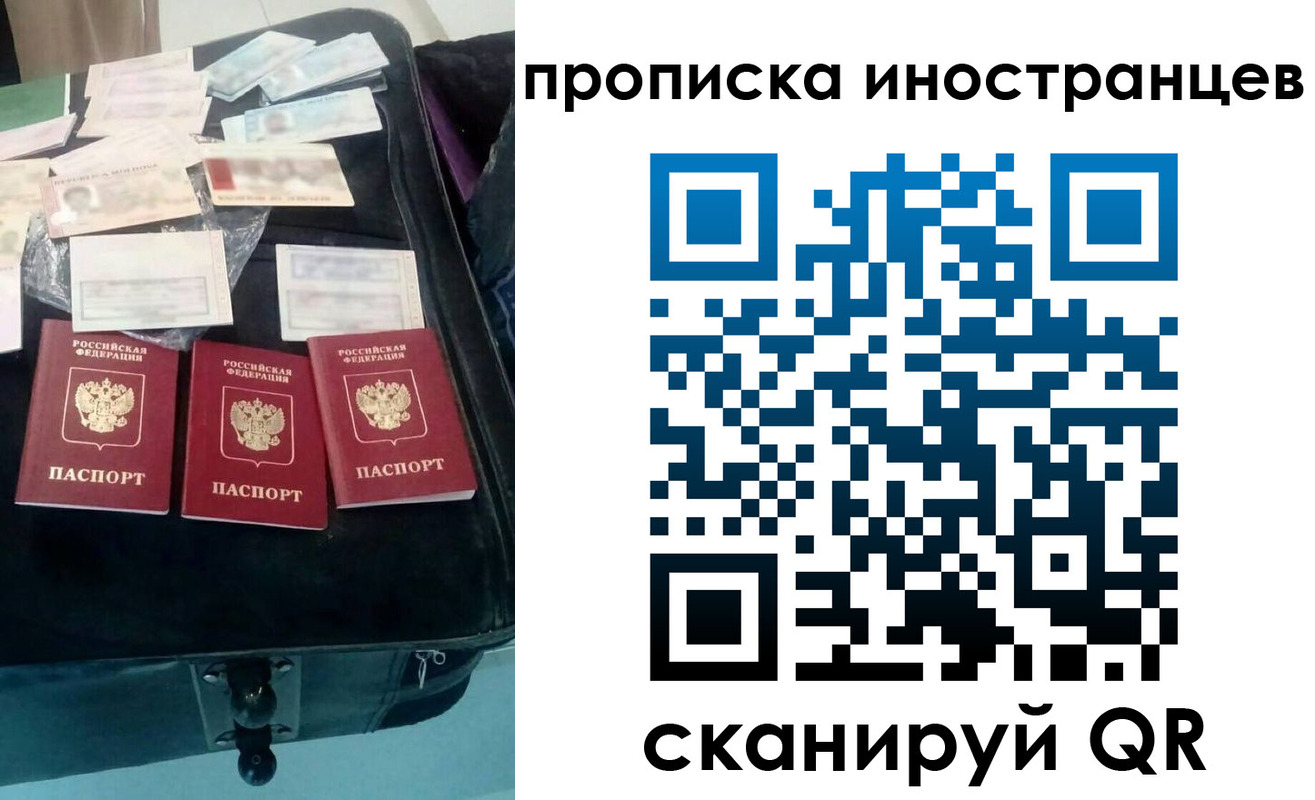 прописка для школы в Луге
